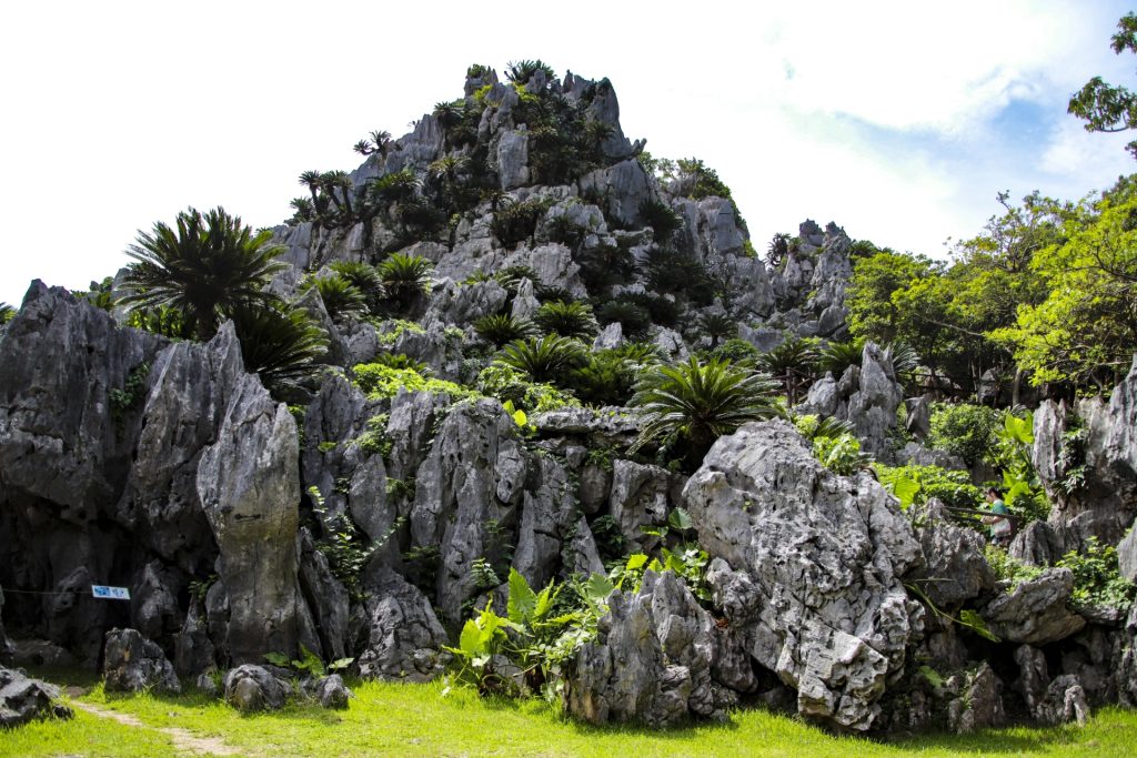 大石林山（だいせきりんざん）