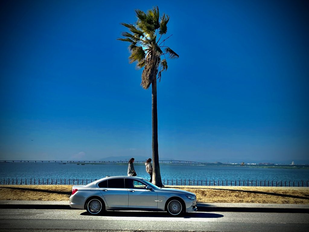 千葉フォルニア