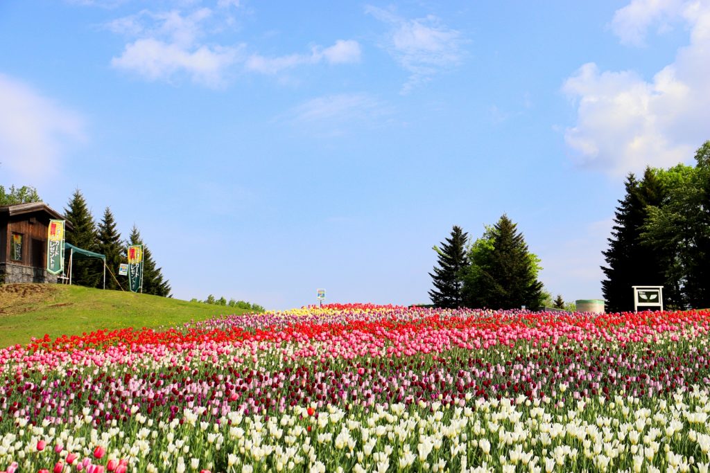 滝野すずらん丘陵公園