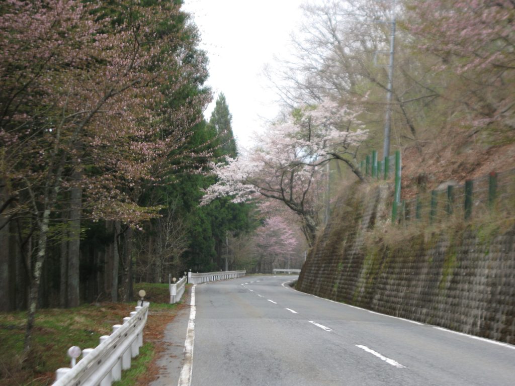三峯山麓の県道