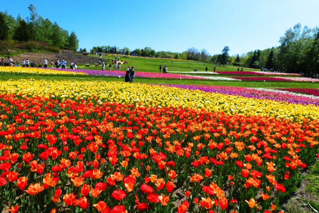 滝野すずらん丘陵公園