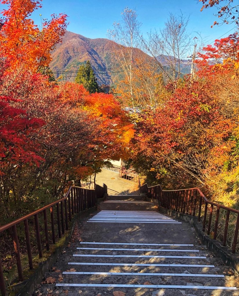 三峯山 紅葉
