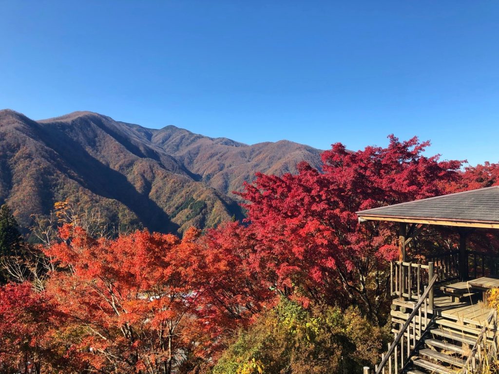 三峯 紅葉