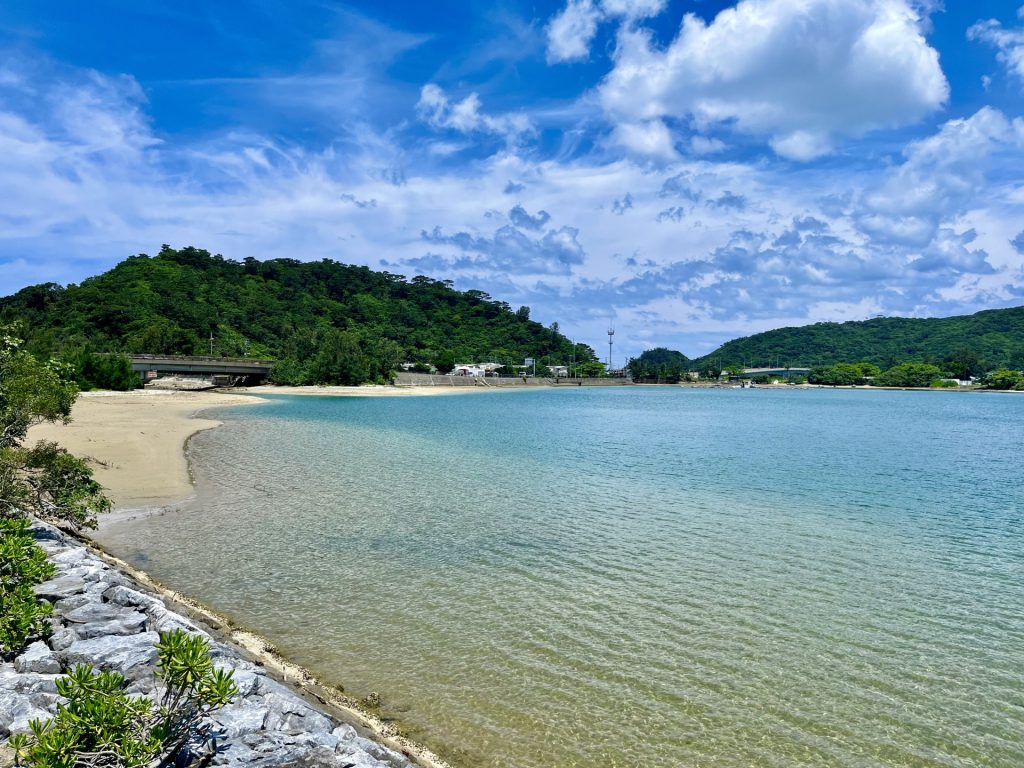 やんばるの森と塩屋湾
