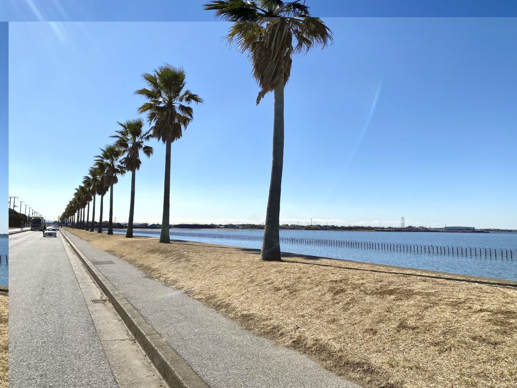 千葉フォルニア