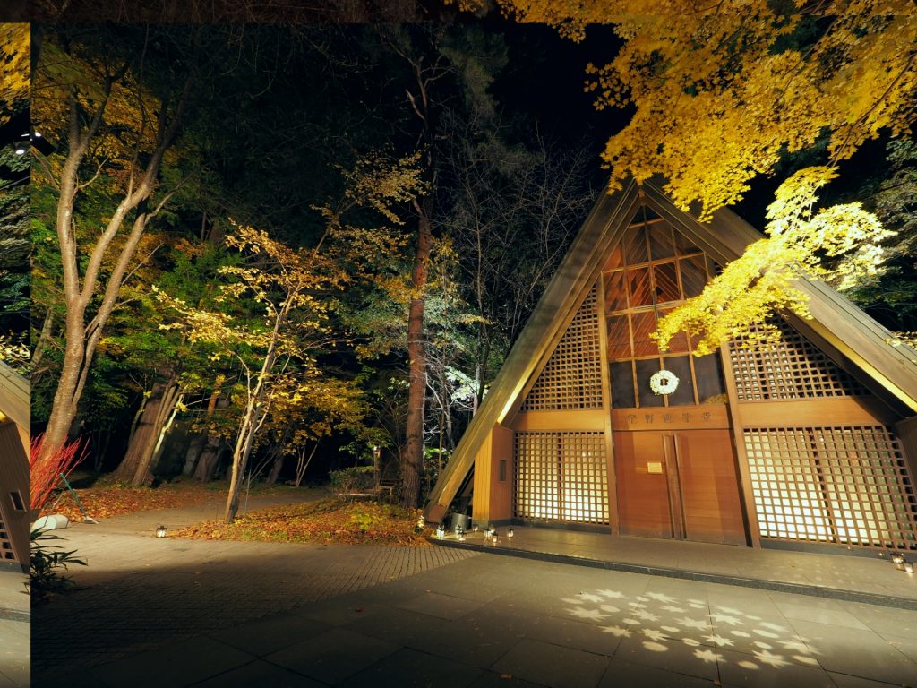 軽井沢高原協会のライトアップ