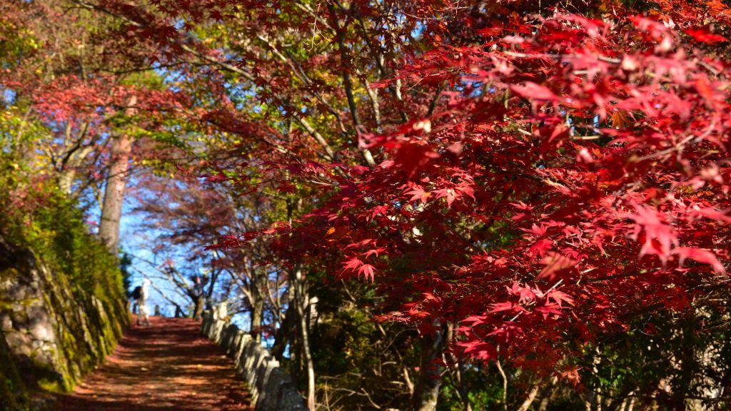 吉野山 紅葉