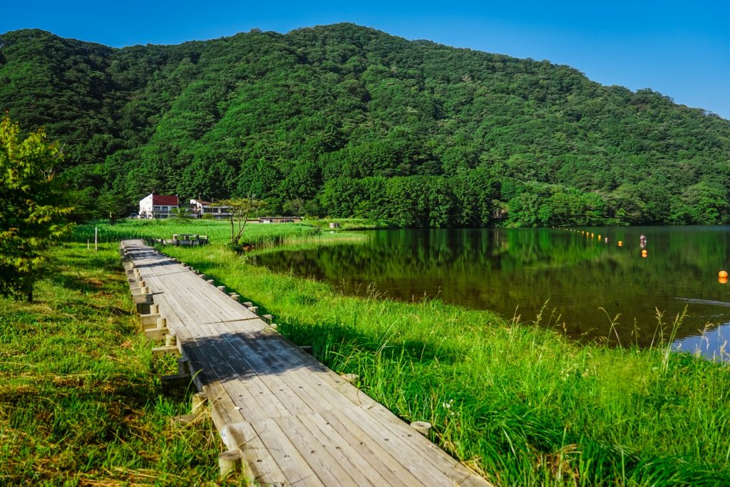 榛名湖の湖畔に続く木道、県立榛名公園
