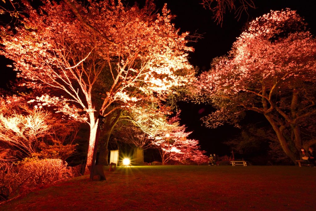 奈良県の吉野山
