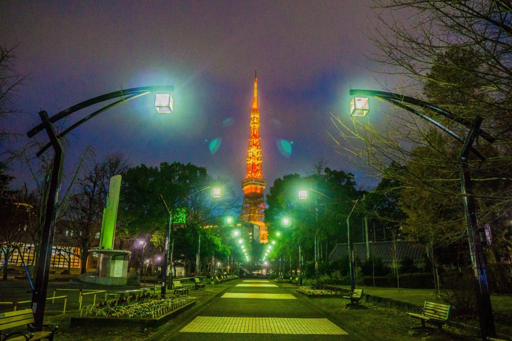 芝公園4号地から見る夜の東京タワー