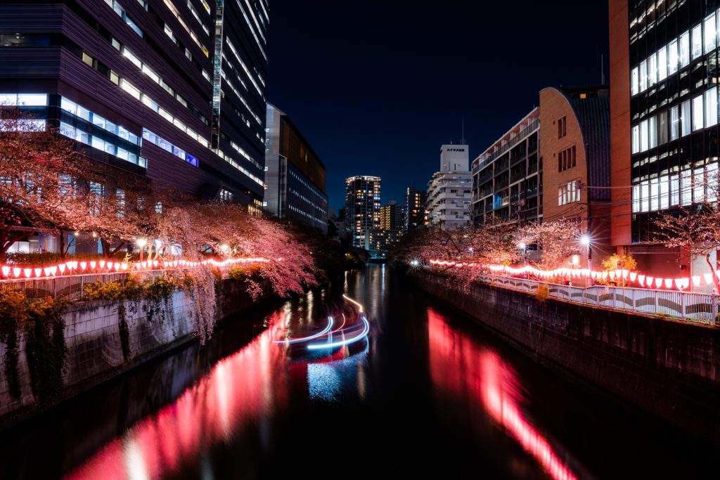 目黒川の夜桜と夜景