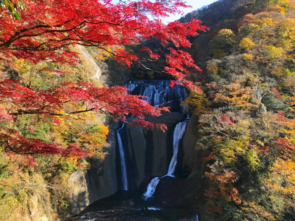 袋田の滝の紅葉
