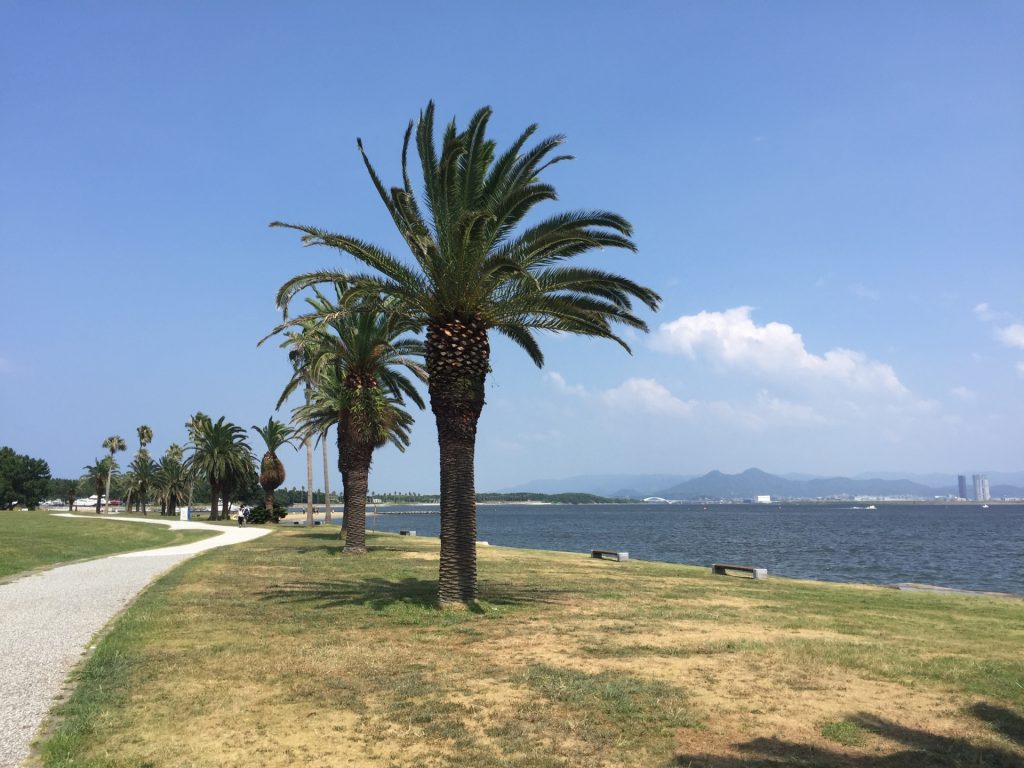 海の中道海浜公園