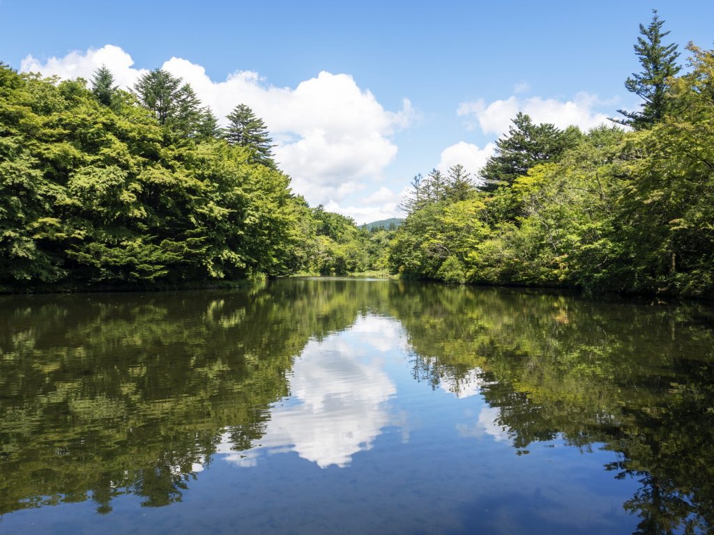 軽井沢 雲場池