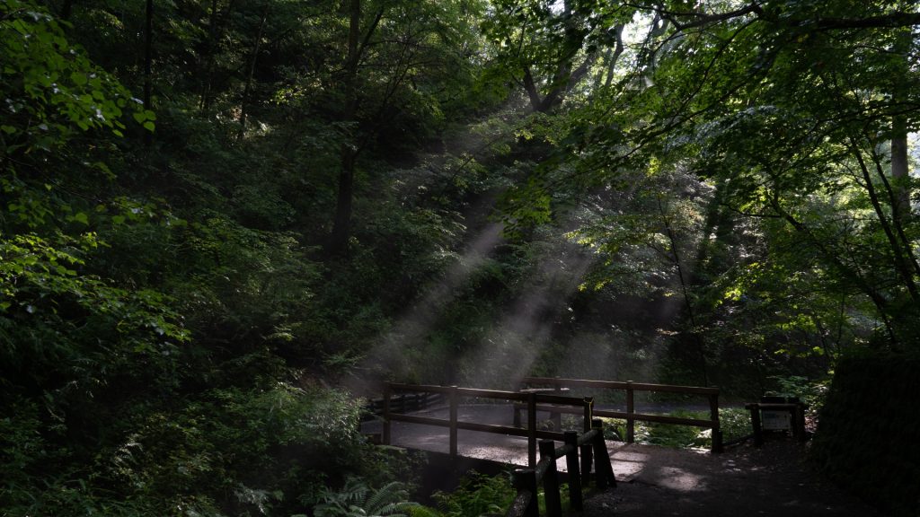 白糸の滝(軽井沢)朝靄