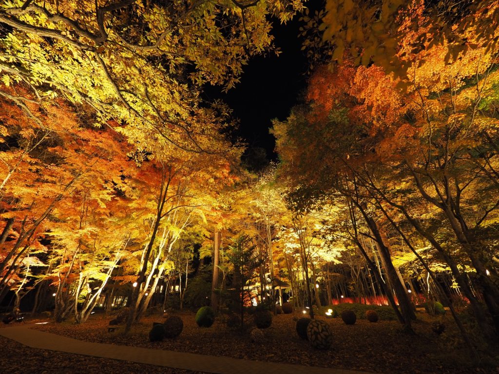 軽井沢高原教会ライトアップ