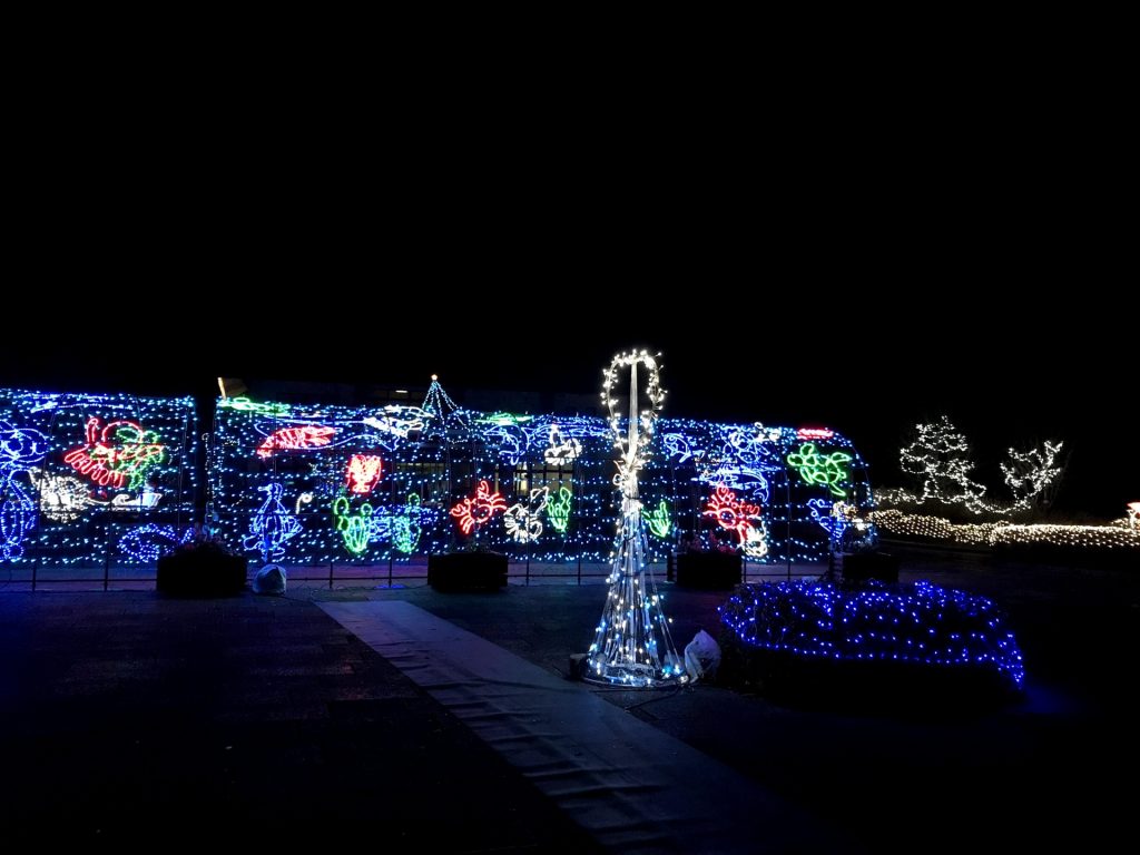 戸川公園のイルミネーション（秦野市）