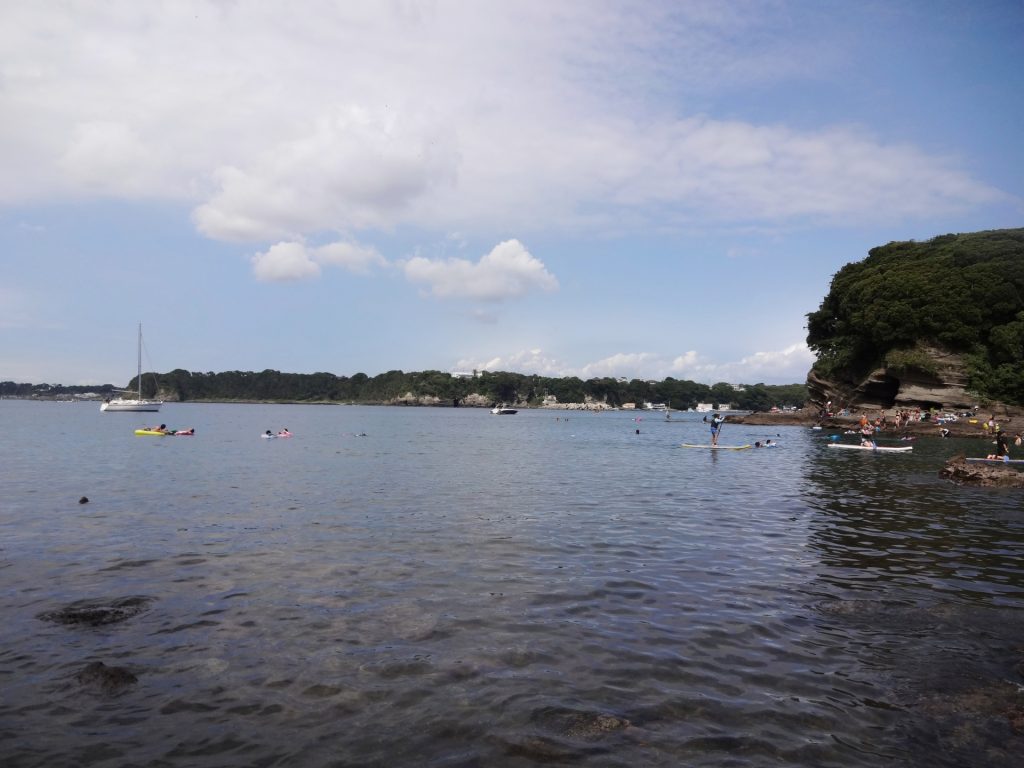 三浦半島　油壷の海