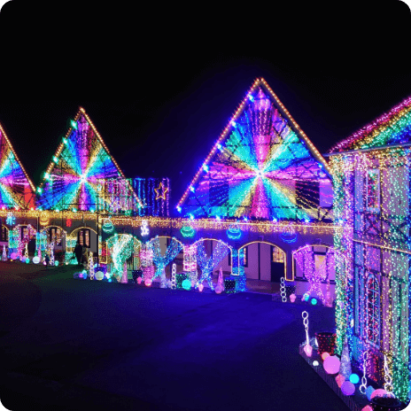 東京ドイツ村 イルミネーション